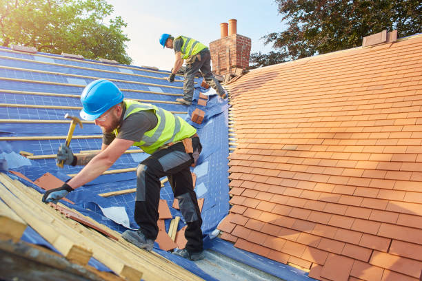 Best Metal Roofing Installation  in Maroa, IL